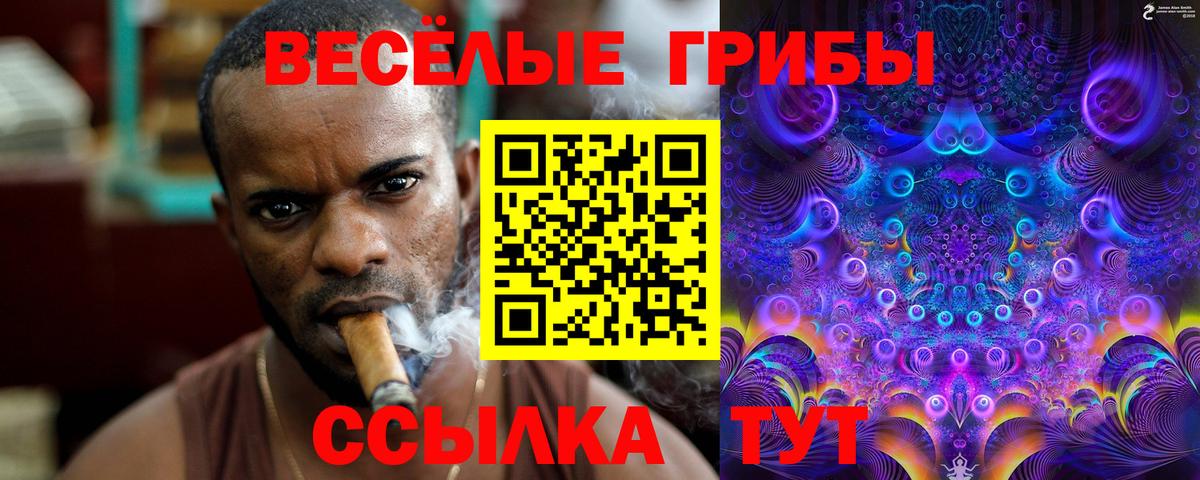 Псилоцибиновые грибы Psilocybine cubensis Ишимбай